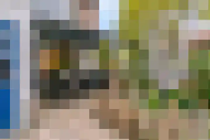 Violierstraat 20 Tiel thumbnail 21