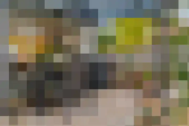 Violierstraat 20 Tiel thumbnail 22
