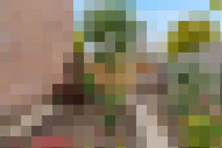 Violierstraat 20 Tiel thumbnail 23