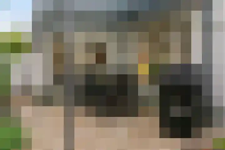 Violierstraat 20 Tiel thumbnail 24