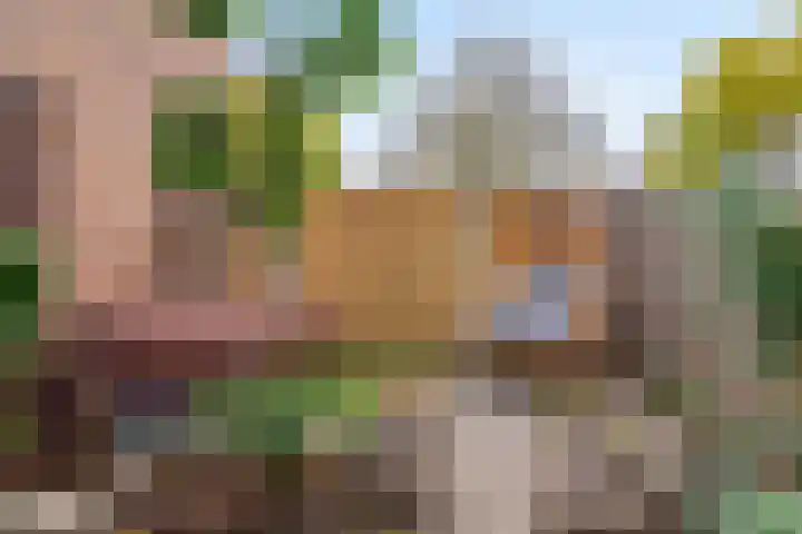 Violierstraat 20 Tiel thumbnail 25
