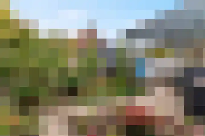 Violierstraat 20 Tiel thumbnail 26