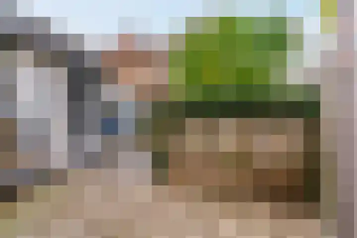 Violierstraat 20 Tiel thumbnail 30