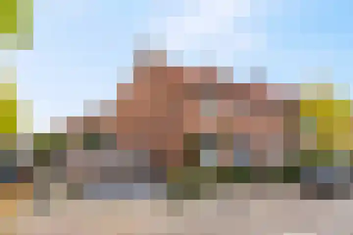 Violierstraat 20 Tiel thumbnail 32