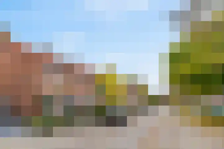 Violierstraat 20 Tiel thumbnail 33