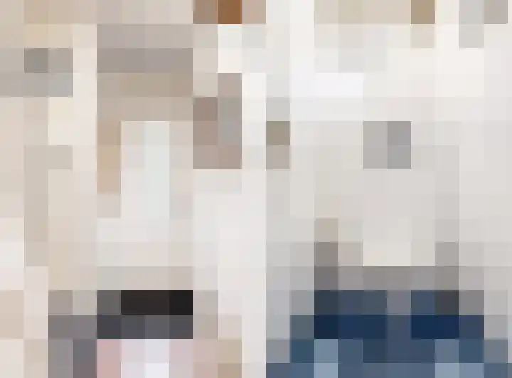 Violierstraat 20 Tiel thumbnail 4
