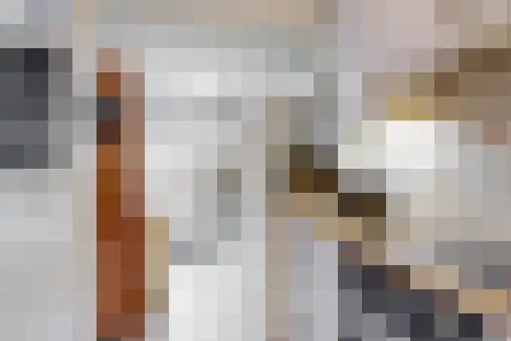 Violierstraat 20 Tiel thumbnail 9