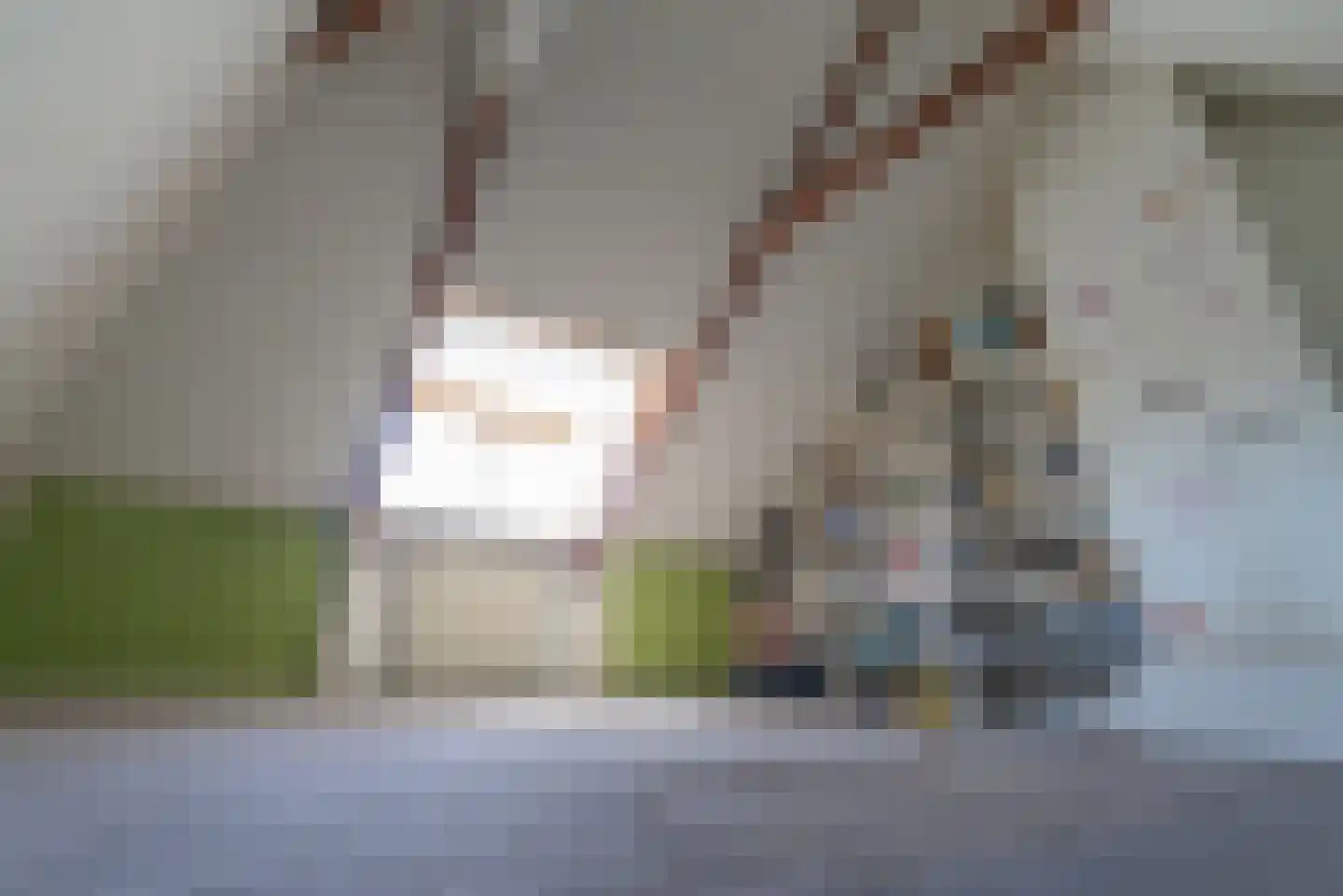 Violierstraat 202 Almelo thumbnail 22