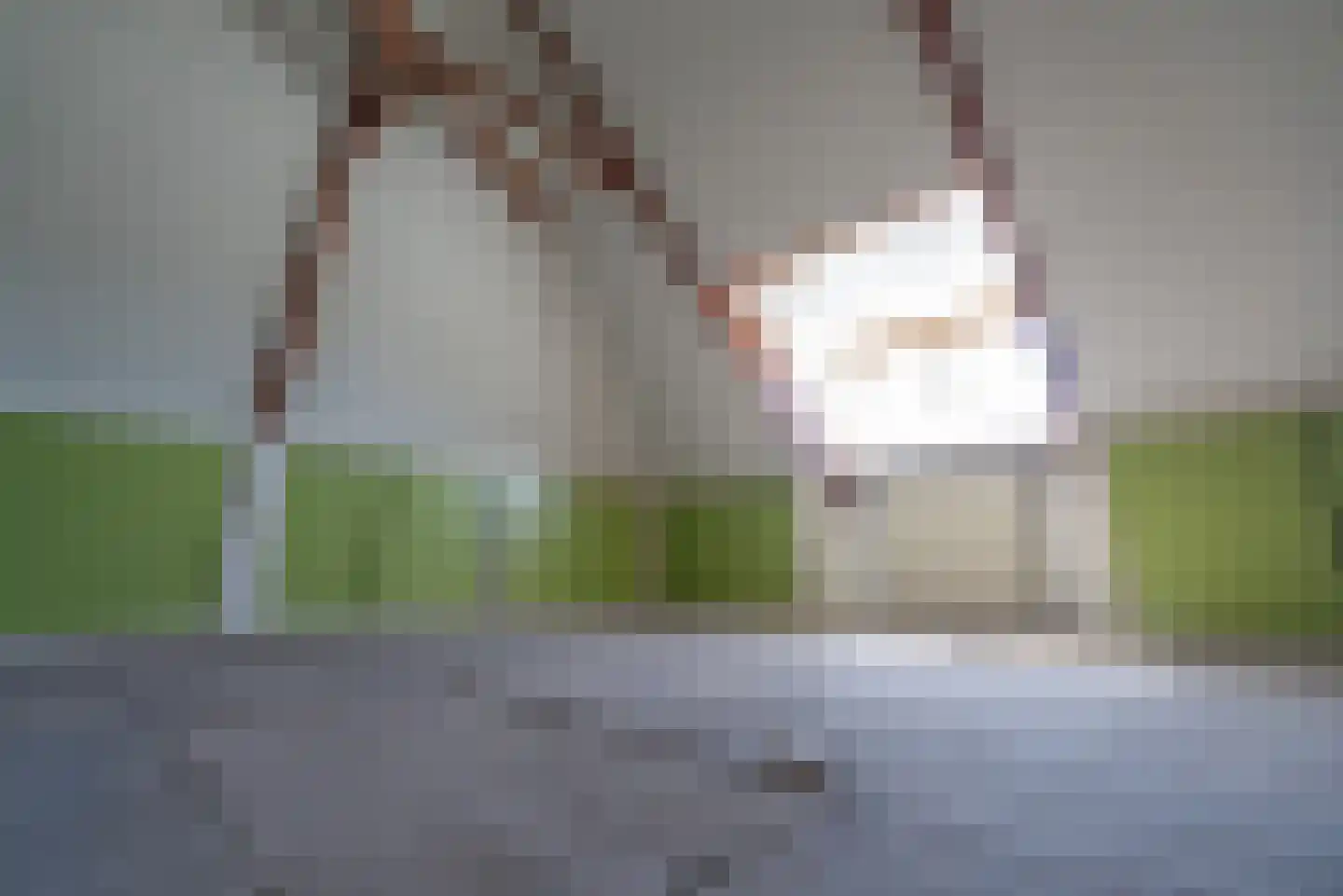 Violierstraat 202 Almelo thumbnail 23