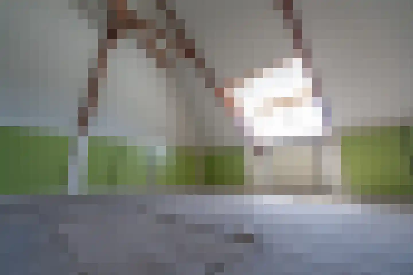 Violierstraat 202 Almelo thumbnail 23