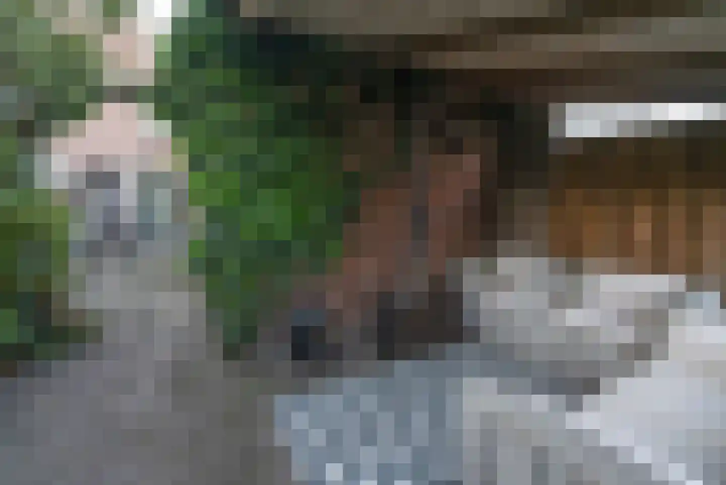Violierstraat 202 Almelo thumbnail 25