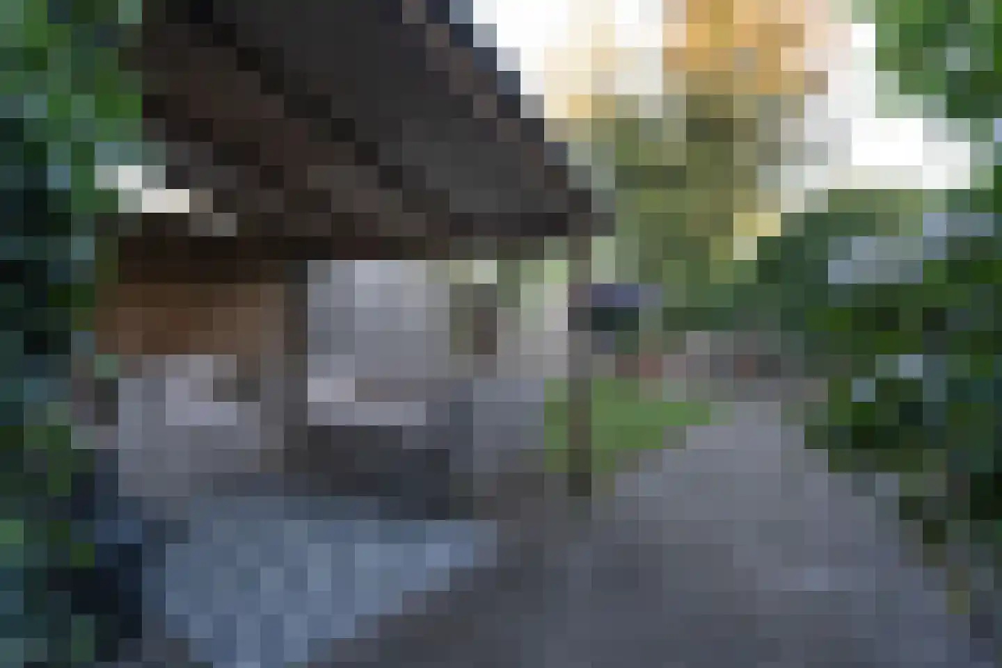 Violierstraat 202 Almelo thumbnail 4
