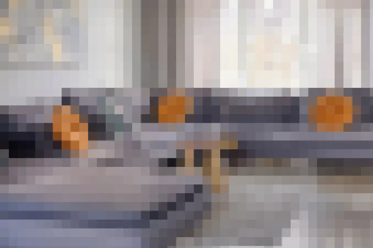 Violierstraat 25 Eindhoven thumbnail 11