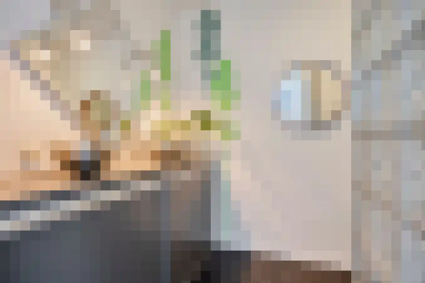 Violierstraat 25 Eindhoven thumbnail 21