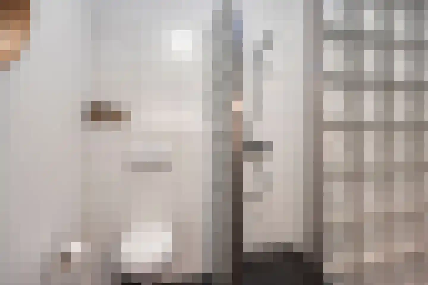 Violierstraat 25 Eindhoven thumbnail 22