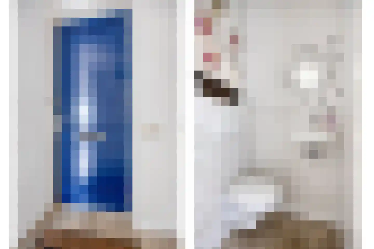 Violierstraat 25 Eindhoven thumbnail 8