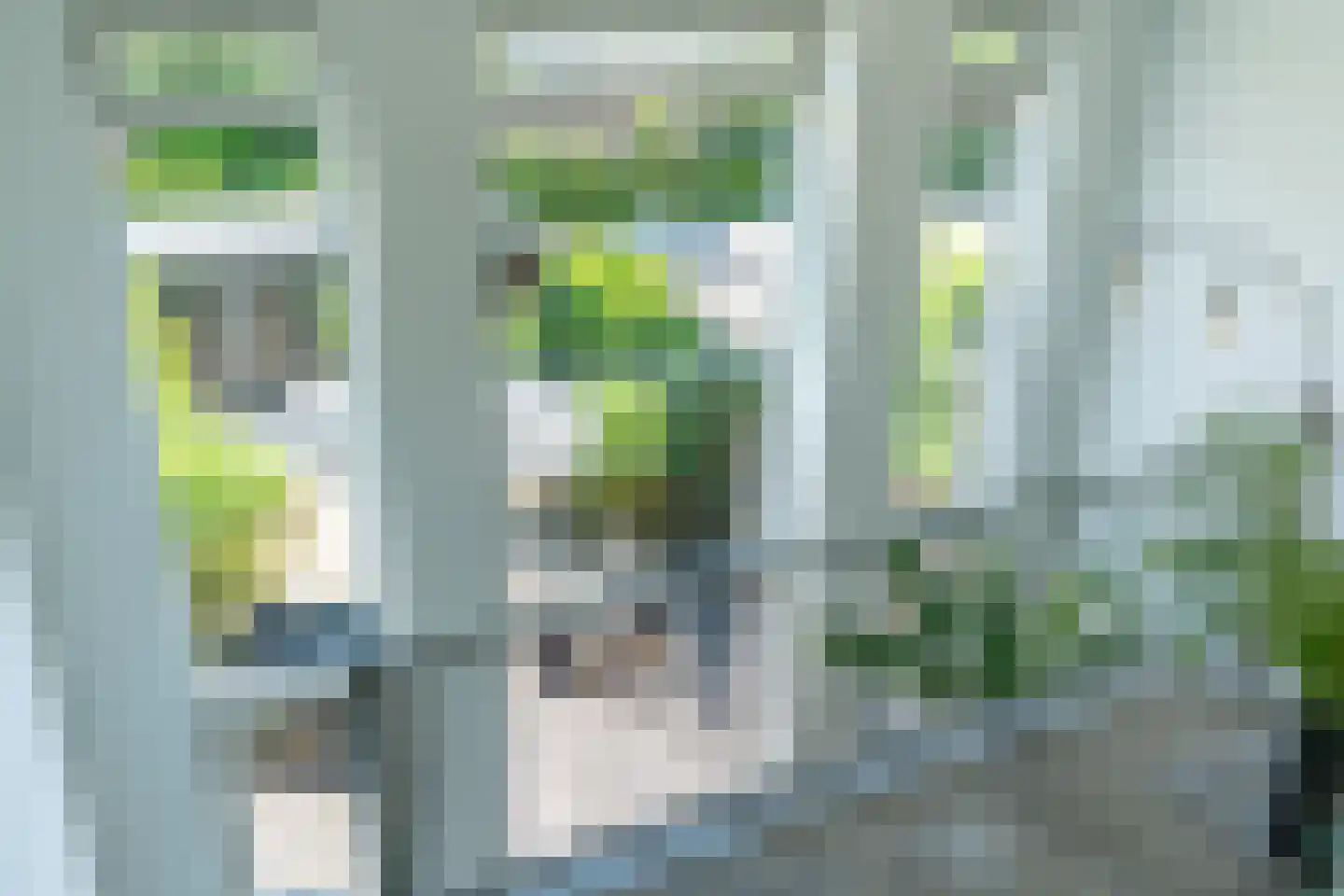 Violierstraat 25 Eindhoven thumbnail 9