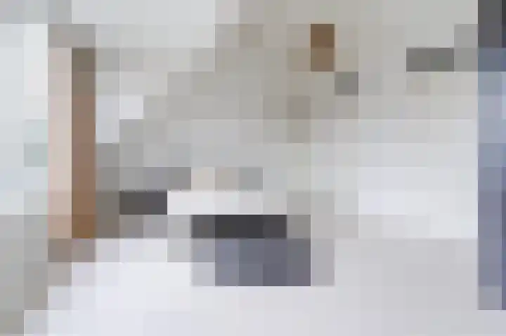 Violierstraat 29 Eindhoven thumbnail 14