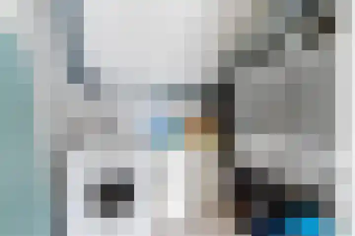 Violierstraat 29 Eindhoven thumbnail 20