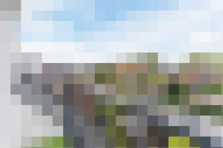 Violierstraat 29 Eindhoven thumbnail 22