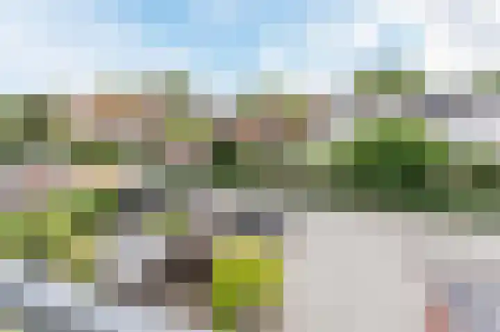Violierstraat 29 Eindhoven thumbnail 23