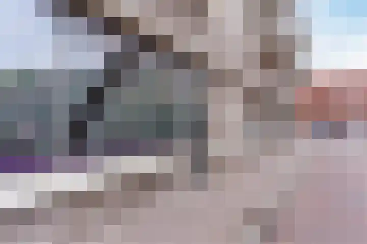 Violierstraat 29 Eindhoven thumbnail 28