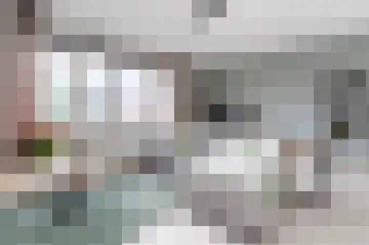 Violierstraat 29 Eindhoven thumbnail 4