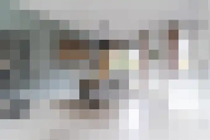 Violierstraat 29 Eindhoven thumbnail 5