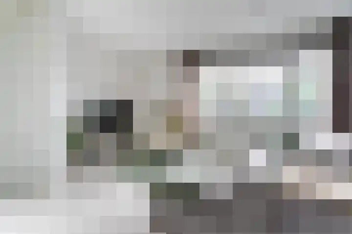 Violierstraat 29 Eindhoven thumbnail 6