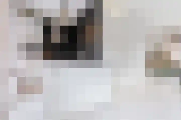Violierstraat 29 Eindhoven thumbnail 8