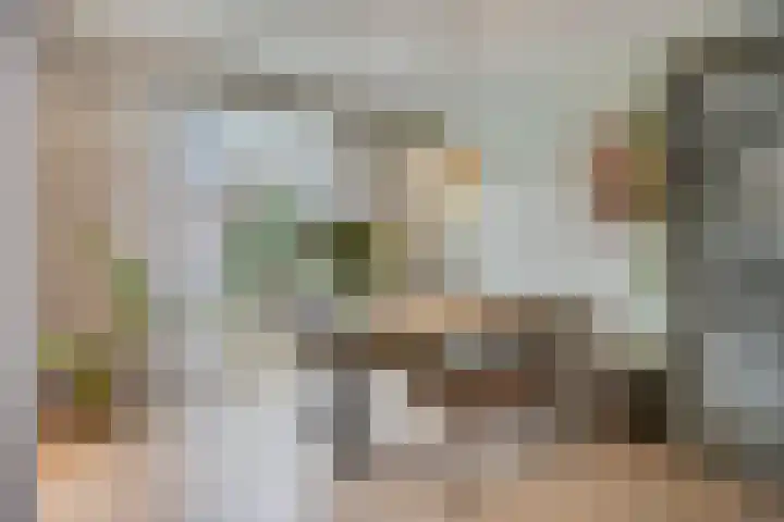 Violierstraat 31 Capelle aan den IJssel thumbnail 11
