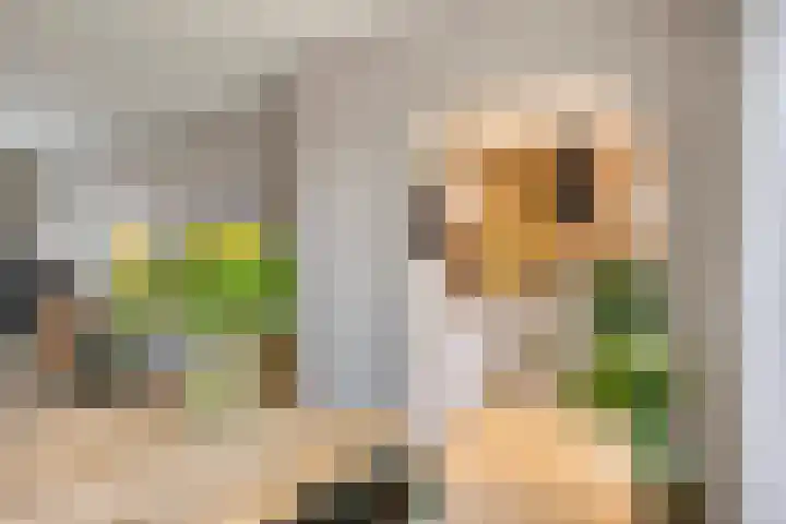 Violierstraat 31 Capelle aan den IJssel thumbnail 13