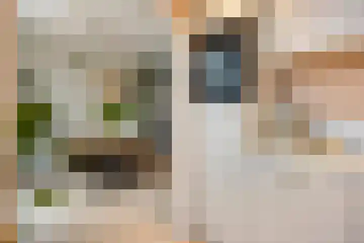 Violierstraat 31 Capelle aan den IJssel thumbnail 16