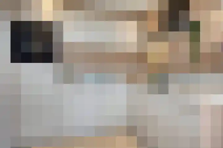 Violierstraat 31 Capelle aan den IJssel thumbnail 17