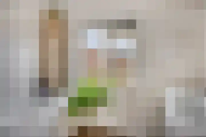 Violierstraat 31 Capelle aan den IJssel thumbnail 23