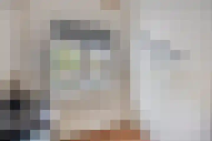Violierstraat 31 Capelle aan den IJssel thumbnail 27