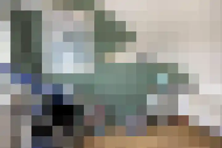 Violierstraat 31 Capelle aan den IJssel thumbnail 28