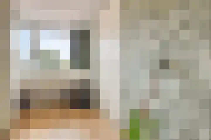 Violierstraat 31 Capelle aan den IJssel thumbnail 30