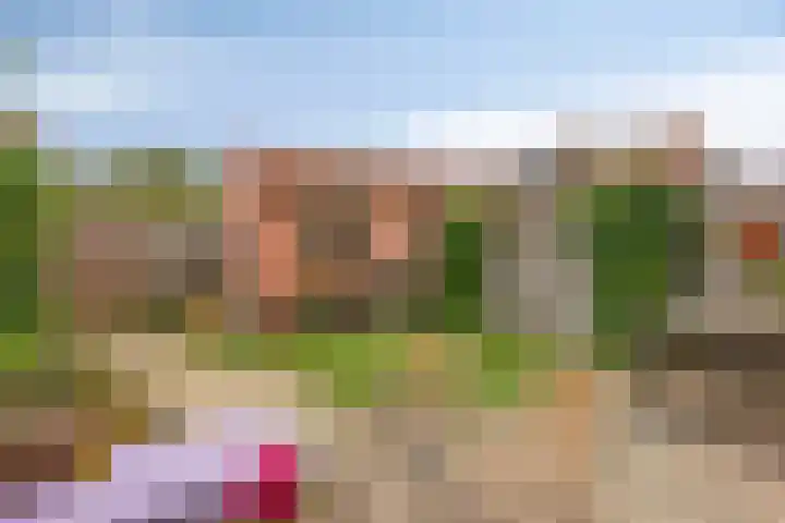 Violierstraat 31 Capelle aan den IJssel thumbnail 31