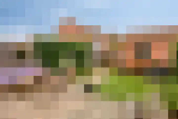 Violierstraat 31 Capelle aan den IJssel thumbnail 32