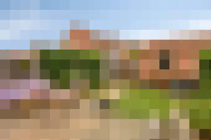 Violierstraat 31 Capelle aan den IJssel thumbnail 33