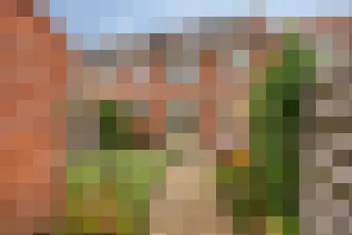 Violierstraat 31 Capelle aan den IJssel thumbnail 34
