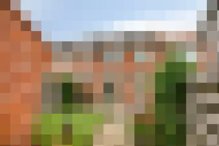 Violierstraat 31 Capelle aan den IJssel thumbnail 35