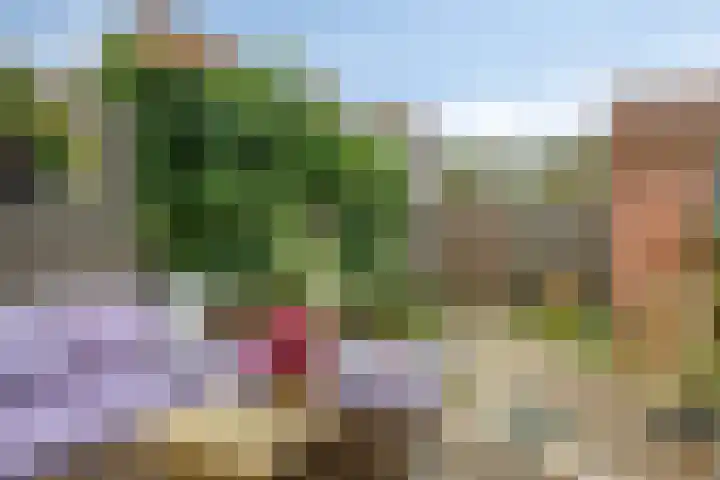 Violierstraat 31 Capelle aan den IJssel thumbnail 36