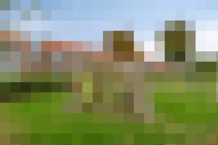 Violierstraat 31 Capelle aan den IJssel thumbnail 37