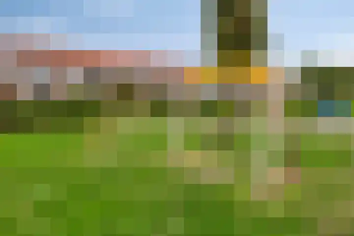 Violierstraat 31 Capelle aan den IJssel thumbnail 38