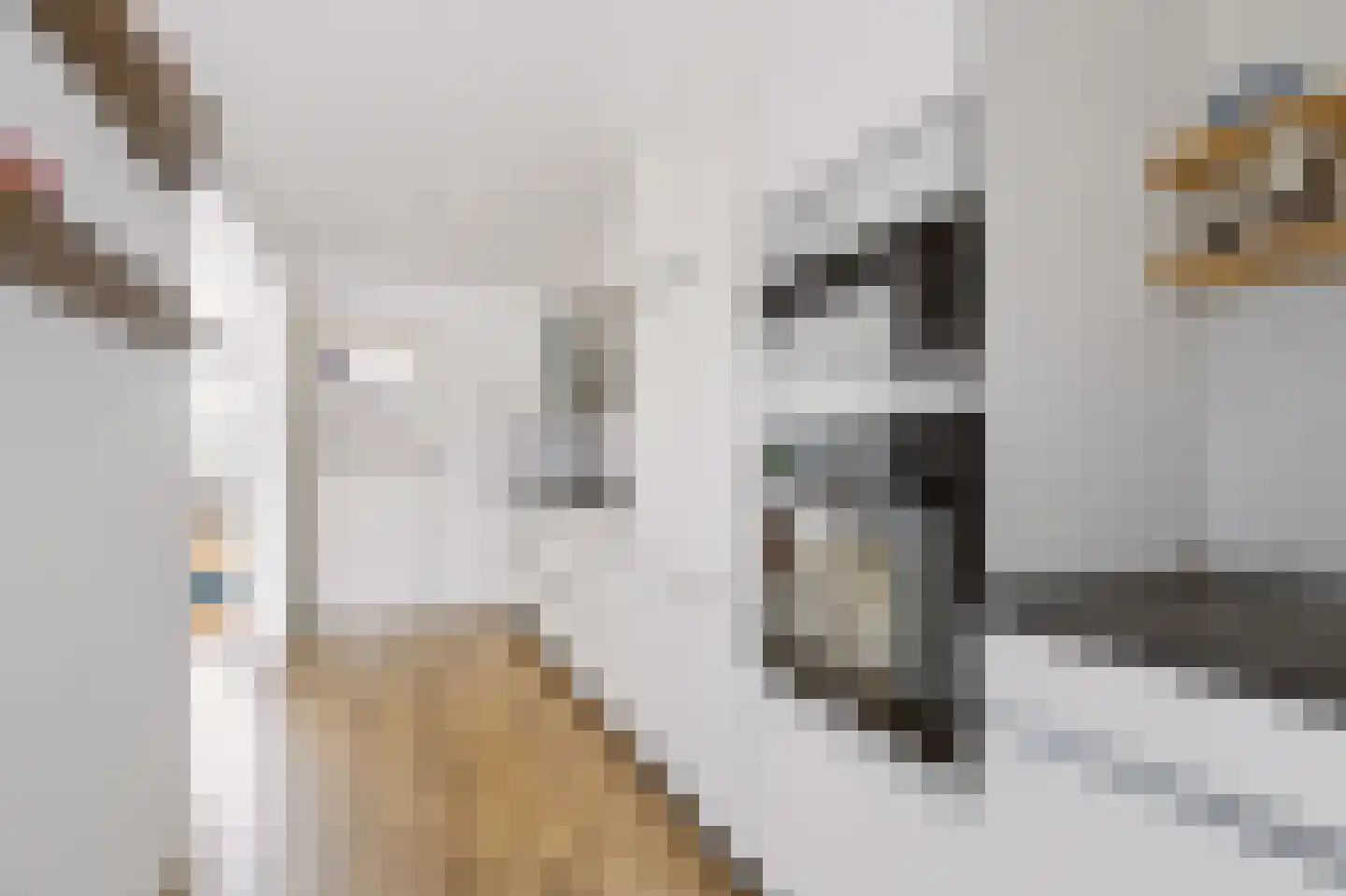 Violierstraat 39 Beuningen Gld thumbnail 17