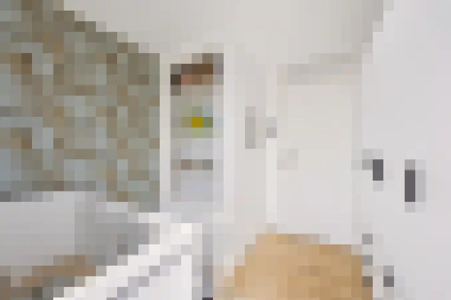 Violierstraat 39 Beuningen Gld thumbnail 30