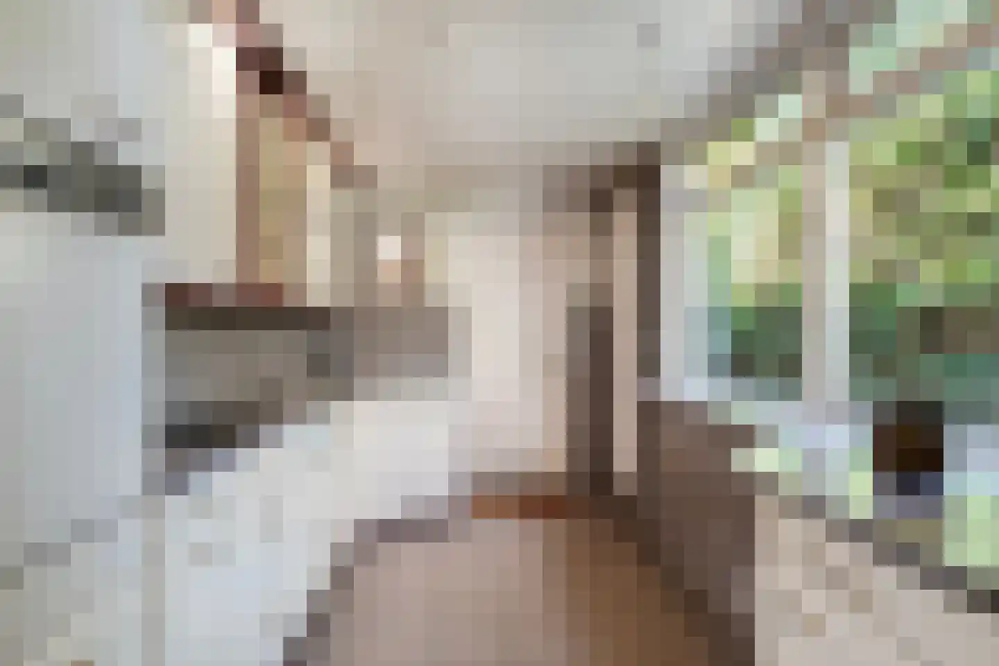 Violierstraat 40 Almelo thumbnail 13