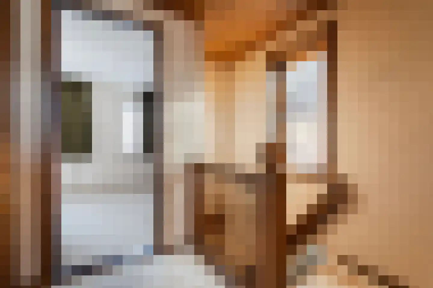 Violierstraat 40 Almelo thumbnail 22
